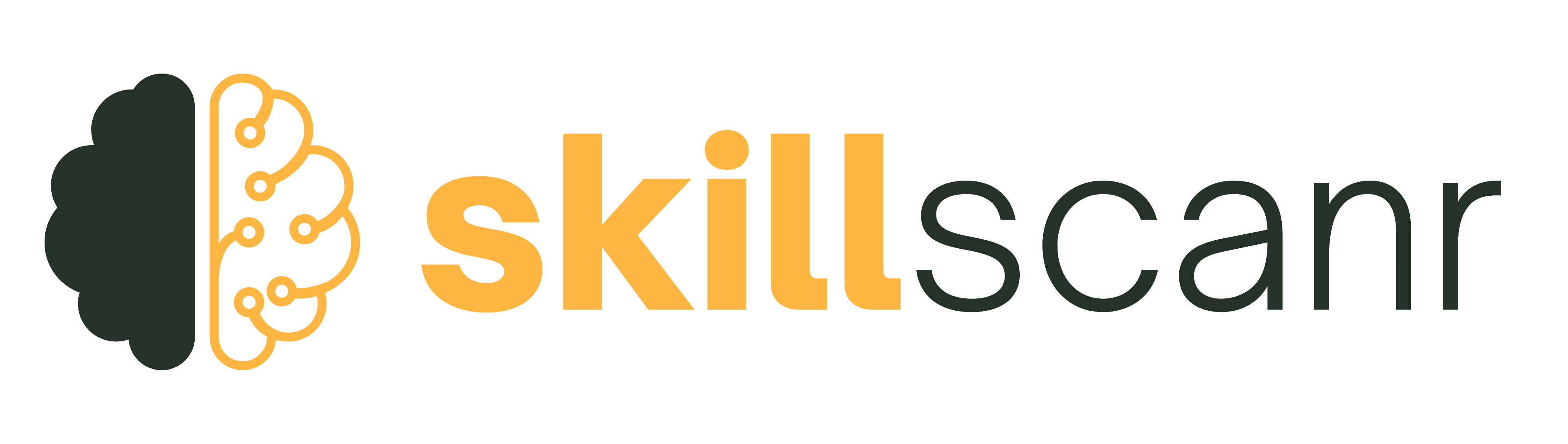 SkillScanr Logo